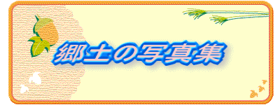 ���y�̎ʐ^�W
